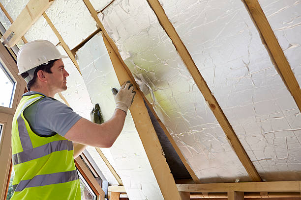 Best Home Insulation Services  in Bellevue, NE